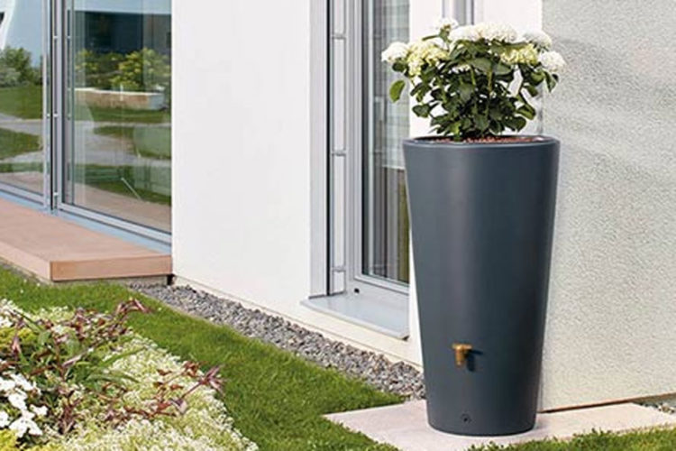 Un récupérateur d’eau de pluie design et décoratif Designiz — free download