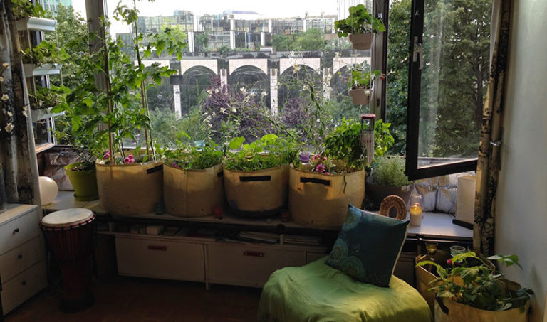 potager d'intérieur